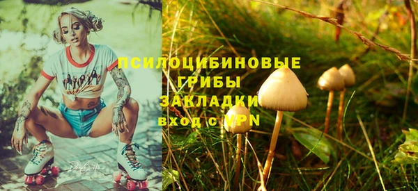 бошки Алагир