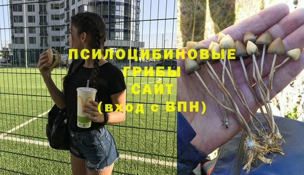 ALPHA-PVP Елабуга