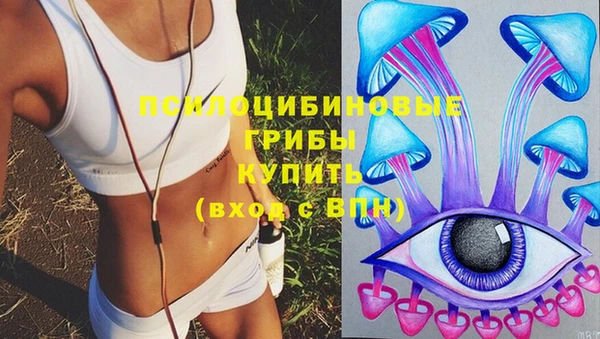 тгк Медвежьегорск