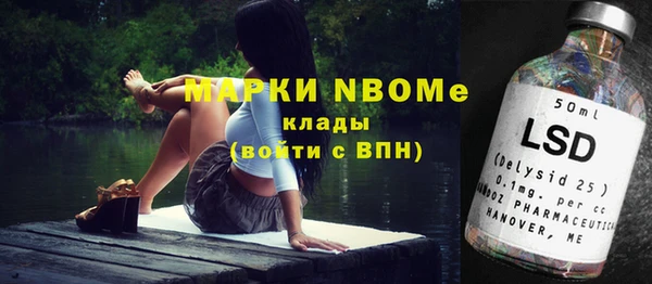 молекула духа Алапаевск